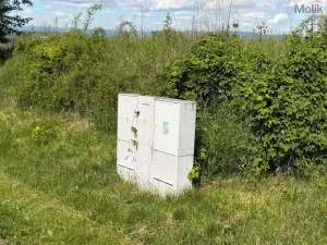 Prodej pozemku pro bydlení, Skršín, 902 m2