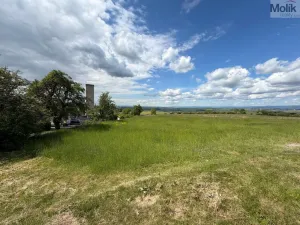 Prodej pozemku pro bydlení, Skršín, 962 m2