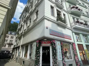 Pronájem bytu 2+1, Karlovy Vary, Tržiště, 59 m2
