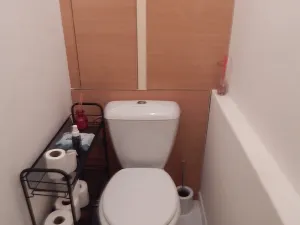 Prodej bytu 2+1, Karviná, Borovského, 58 m2