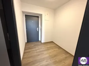 Pronájem bytu 1+kk, Písek, Vladislavova, 24 m2