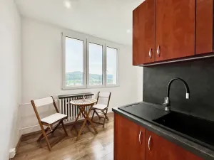 Pronájem bytu 2+1, Starý Plzenec, U Sedlce, 57 m2
