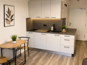 Pronájem bytu 1+kk, Praha - Střížkov, Děčínská, 30 m2