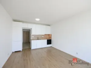 Pronájem bytu 1+kk, Plzeň - Jižní Předměstí, Železná, 31 m2