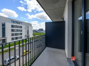 Pronájem bytu 1+kk, Plzeň - Jižní Předměstí, Železná, 31 m2
