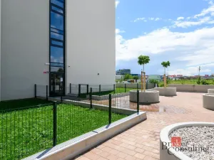 Pronájem bytu 1+kk, Plzeň - Jižní Předměstí, Železná, 31 m2