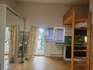 Pronájem bytu 1+kk, Praha, K cihelně, 55 m2