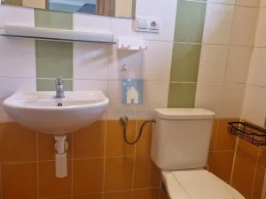 Pronájem bytu 1+kk, Praha, K cihelně, 55 m2