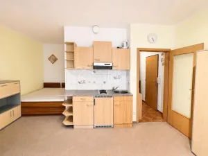 Pronájem bytu 1+kk, Praha - Hlubočepy, Werichova, 28 m2