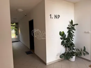 Pronájem bytu 1+kk, Praha - Hlubočepy, Werichova, 28 m2