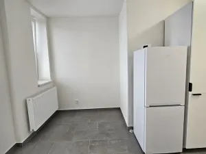 Pronájem bytu 2+1, Brno, Cejl, 53 m2