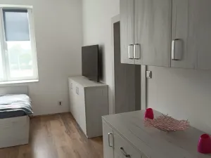 Pronájem bytu 4+1, Příkosice, 115 m2