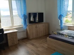 Pronájem bytu 4+1, Příkosice, 115 m2