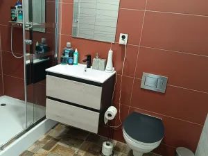 Pronájem bytu 4+1, Příkosice, 115 m2