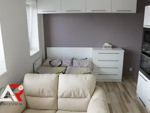Pronájem bytu 1+kk, Brno, Hostinského, 30 m2