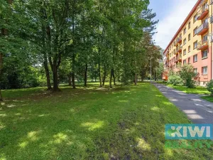 Pronájem bytu 1+1, Havířov, Dlouhá třída, 36 m2