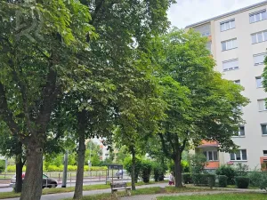 Pronájem bytu 2+1, Praha - Vokovice, Senegalská, 53 m2