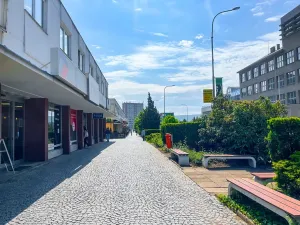 Pronájem bytu 1+kk, Mladá Boleslav, třída T. G. Masaryka, 25 m2