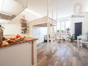Pronájem bytu 1+kk, Praha - Nusle, V Horkách, 32 m2