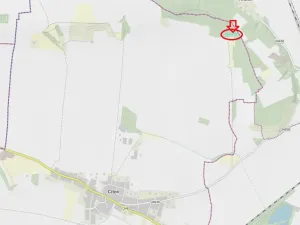 Prodej lesa, Cítov, 1601 m2