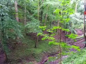 Prodej lesa, Životice u Nového Jičína, 12739 m2