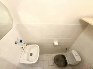 Prodej rodinného domu, Ostrava - Hrabůvka, Edisonova, 248 m2