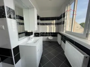 Pronájem bytu 1+1, Chomutov, Ruská, 43 m2