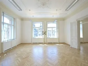 Pronájem kanceláře, Praha - Nové Město, Václavské náměstí, 466 m2