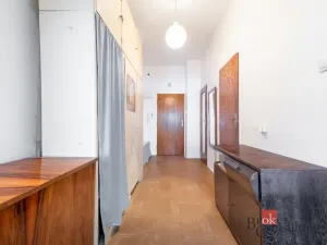 Pronájem bytu 1+1, Brno - Veveří, Burešova, 56 m2