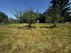 Prodej rodinného domu, Nepomuk, Tojická, 90 m2
