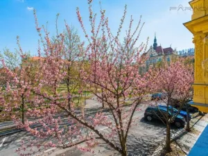 Pronájem bytu 4+kk, Praha - Karlín, Křižíkova, 110 m2
