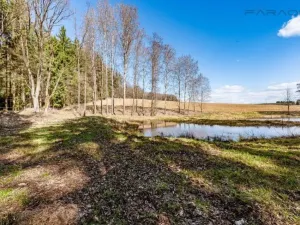 Prodej komerčního pozemku, Zbraslavice - Rápošov, 13515 m2