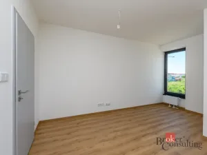Pronájem bytu 1+kk, Plzeň - Jižní Předměstí, Železná, 29 m2