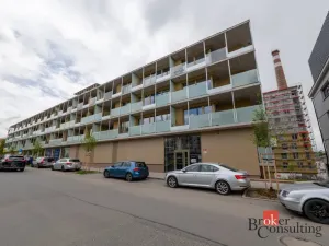 Pronájem bytu 1+kk, Plzeň - Východní Předměstí, 30 m2