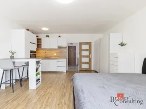 Prodej bytu 1+kk, Velešovice, 38 m2