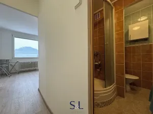 Pronájem bytu 1+1, Nový Bor, Sadová, 30 m2