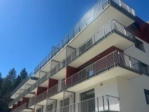 Pronájem bytu 1+kk, Jablonec nad Nisou, Za Jízdárnou, 42 m2