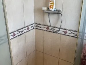 Prodej rodinného domu, Dlažov, 160 m2