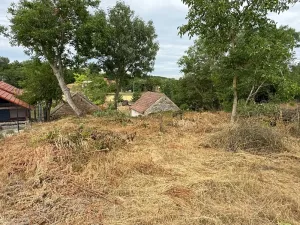 Prodej vinného sklepa, Novosedly, 136 m2