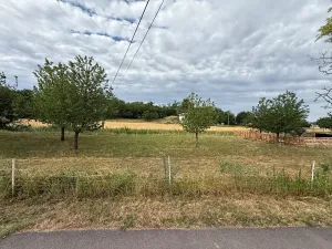 Prodej vinného sklepa, Novosedly, 136 m2