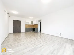 Pronájem bytu 3+kk, Hodonín, Radniční, 54 m2