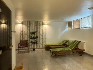 Prodej bytu 1+kk, Dolní Morava, 27 m2