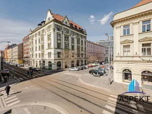 Pronájem bytu 2+1, Praha - Karlín, Vítkova, 65 m2