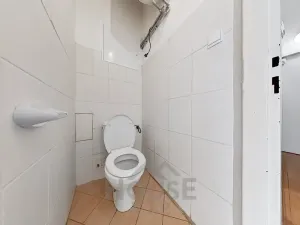 Pronájem bytu 2+1, Praha - Libeň, Na Rokytce, 53 m2