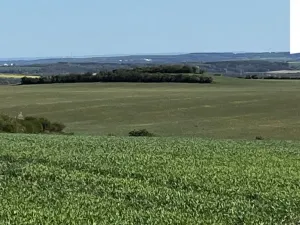 Prodej pole, Polepy, 9461 m2