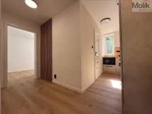 Prodej bytu 3+1, Meziboří, Okružní, 60 m2
