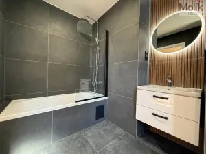 Prodej bytu 3+1, Meziboří, Okružní, 60 m2