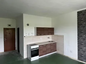Pronájem bytu 1+kk, Zruč nad Sázavou, Mládeže, 33 m2
