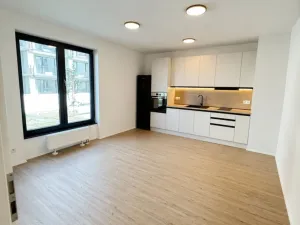 Pronájem bytu 1+kk, Plzeň - Jižní Předměstí, Železná, 37 m2