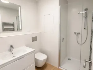 Pronájem bytu 1+kk, Plzeň - Jižní Předměstí, Železná, 37 m2